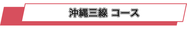 沖縄三線レッスンコース