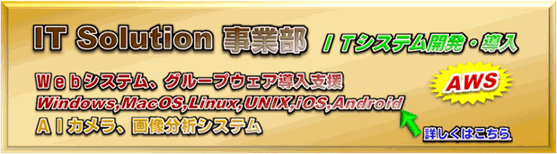 IT Solution事業部