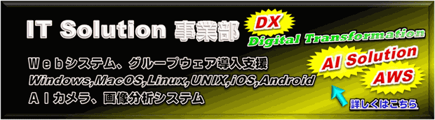 IT Solution事業部