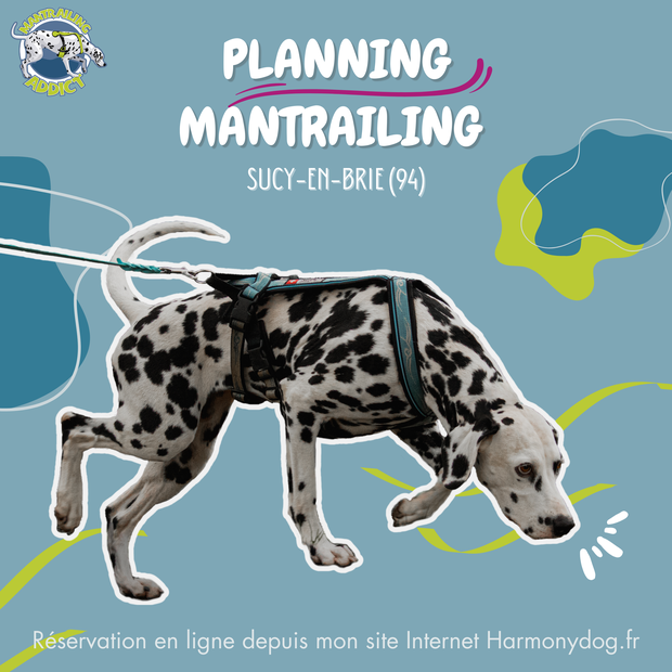 Planning Mantrailing Paris