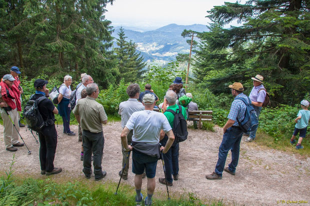 Naturpark-Rangerin Heidun Zeus zur Frage der Offenhaltung von solchen herrlichen Ausblicken