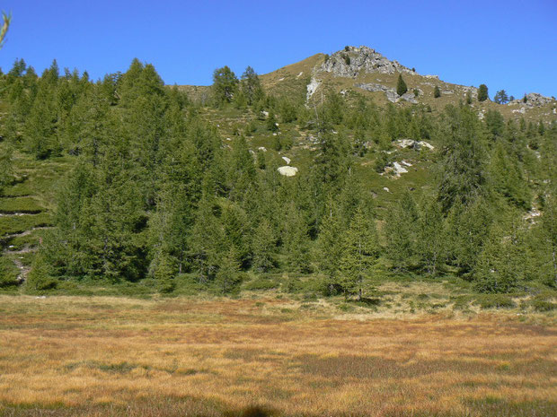 Moorgebiet beim Munzelüm