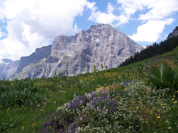 Clabinualp