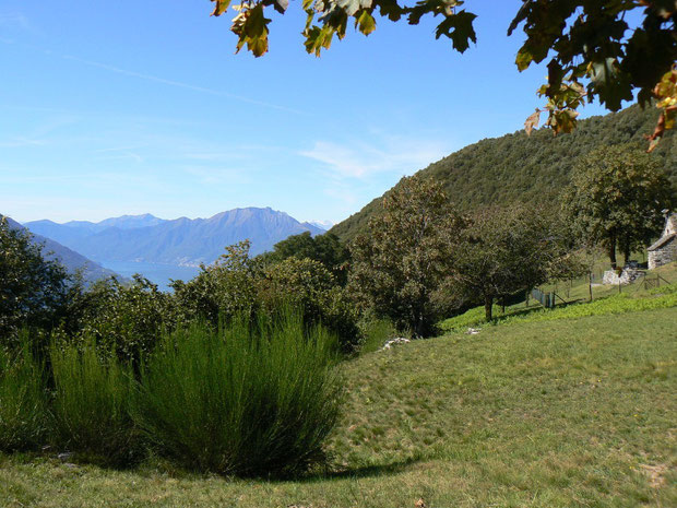 Sementina oberhalb San Defente bei Monti di Boscaloro