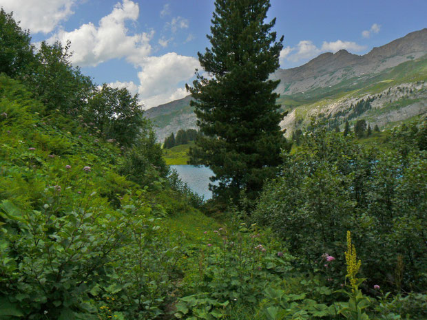 Engstlensee mit südseitigem Weg