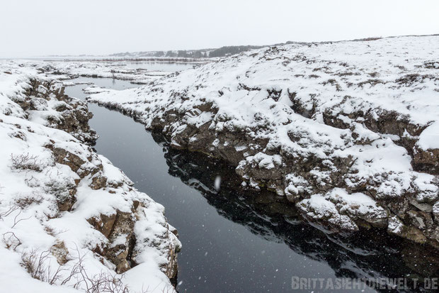 Silfra,spalte,schnorcheln,snorkeling,island,winter,pingvellir,golden circle