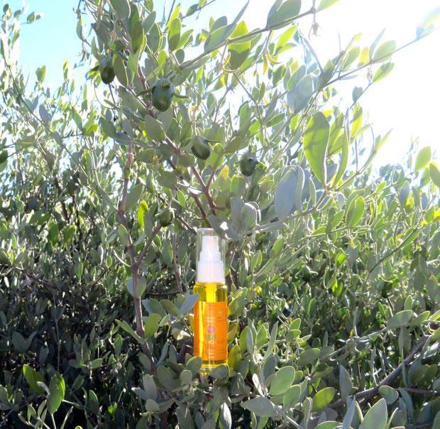 ♔ CLASSIC JOJOBA OIL 『JOJOGOLD』"Mystic dew" - a golden Oasis for your skin. 100%ナチュラル原種のゴールデンホホバオイル ホホバスピリッツ 『ホホゴールド』 Since 1982