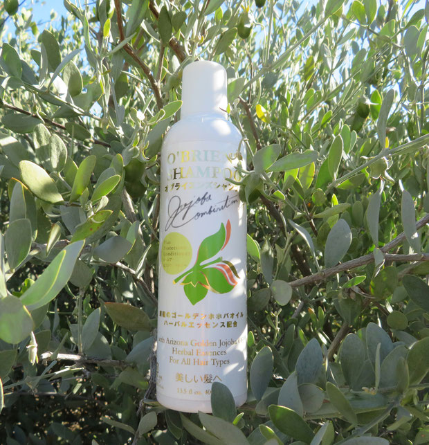 ♔ オブライエンズシャンプー O'BRIEN'S SHAMPOO