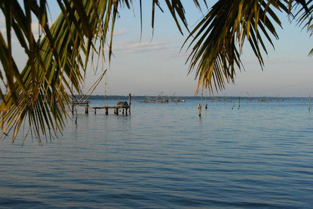 Ashtamudi Lake