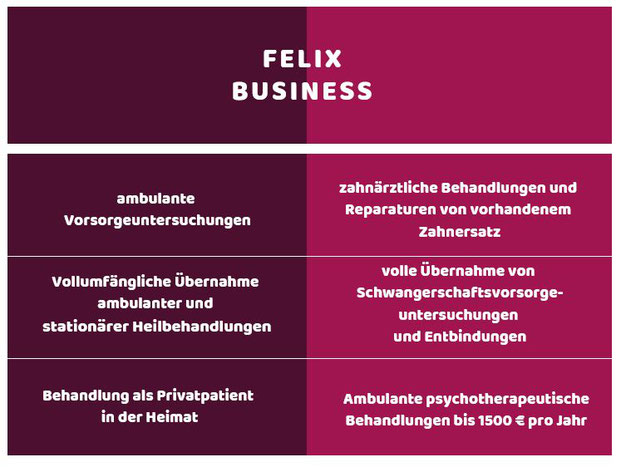 Felix Business: Internationale Krankenversicherung für Expats
