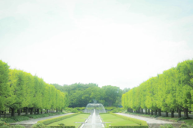 出張撮影　女性カメラマン　国営昭和記念公園　公園フォト　料金安い