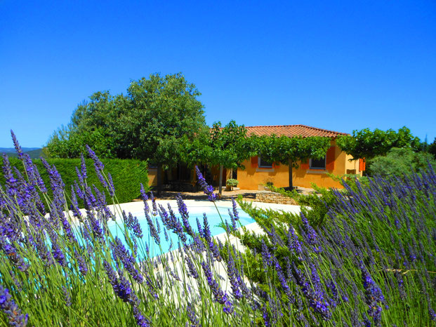 Location de vacances Luberon avec piscine et jardin de lavande à Apt - Gîte Les Lumignons
