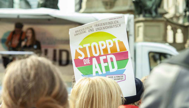 Juden in der AfD, Arbeitskreis, Alternative für Deutschland