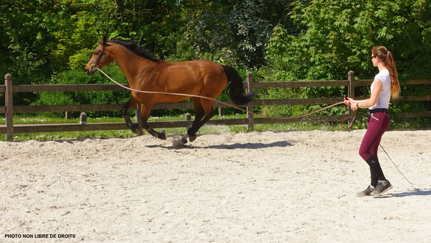 Galop d'essai, Le Touquet