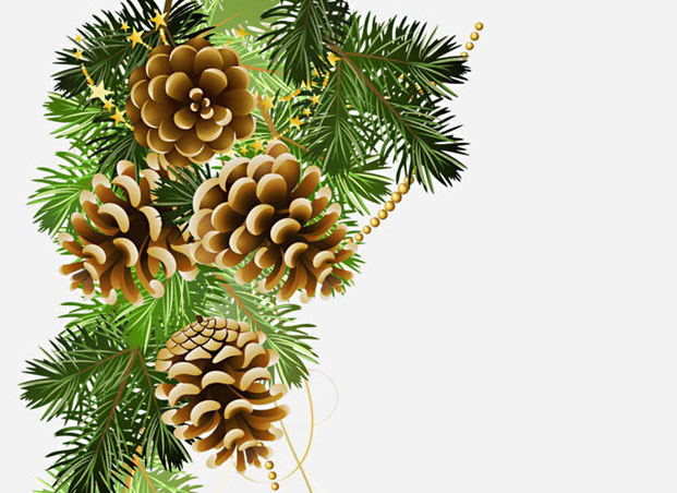 новогодний PNG