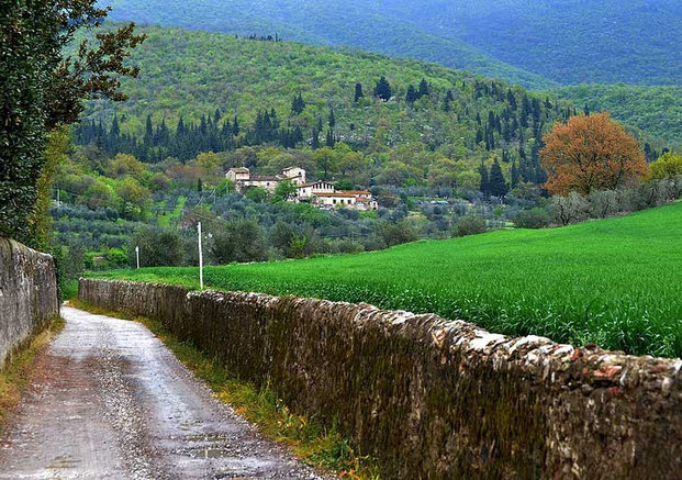 Фулвио Петри