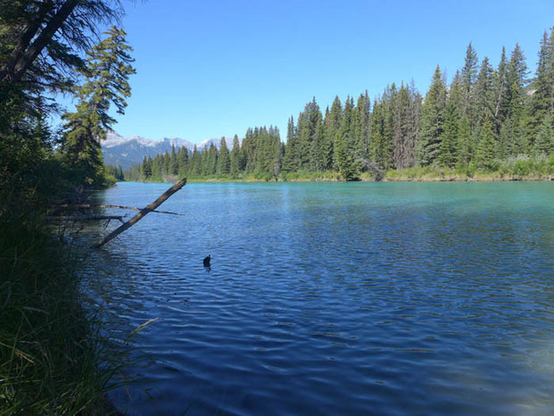 Canada Alberta Lake