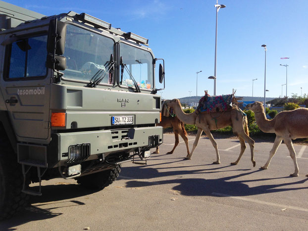Expeditionsmobil, Allrad-Reisemobil, Off-Road-Wohnmobil, Weltreisemobil, Fernreisemobil, LKW-Reisemobil, Allrad-Expeditionsmobil oder mit Toe-Experience