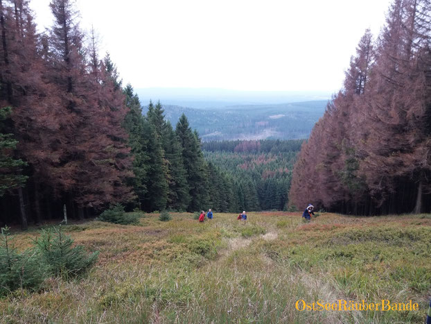 Unsere Wurmberg-Gipfelfotos sind voller Menschen, die ich hier nicht veröffentlichen will. Also ein "Gipfelfoto" eines keineren Berges mit Abstieg Richtung Schierke.