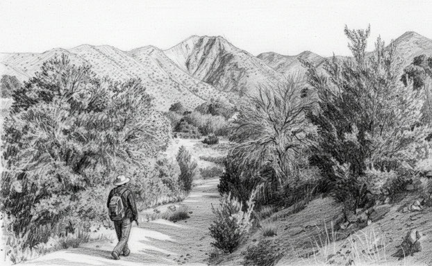Wiyo in the foothills of the Sandias