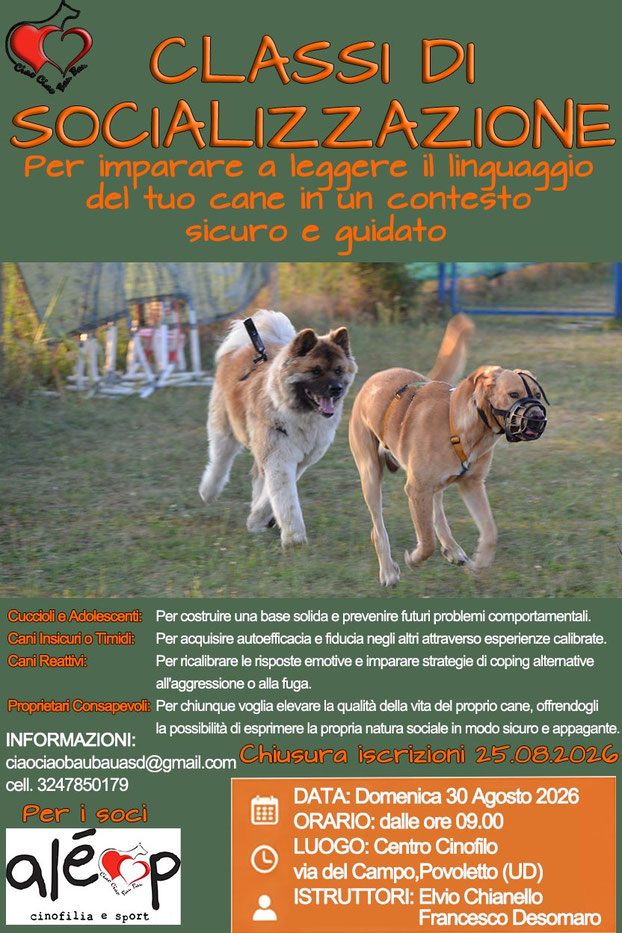 Un pomeriggio dedicato ad affrontare le piccole emergenze dei nostri cani