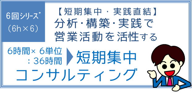 短期集中コンサルティング