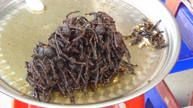 Bild: Frittierte Vogelspinnen eine Delikatesse