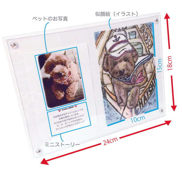 写真:フレームS チャイくん「CHAI SHIP」