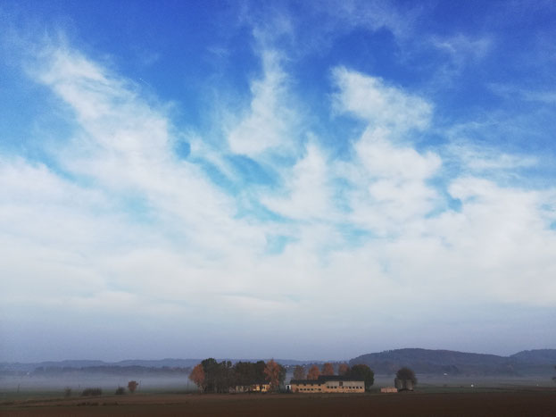 Kraftquelle,Nebelbild, Nebelspaziergang, Auszeit vom Alltag, neue Kraft sammeln, Natur genießen, frei sein
