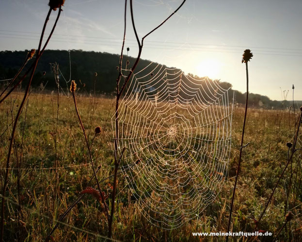 Herbstmagie, Herbst, Herbstzeit, Herbstfoto, Kraftquelle, Kraft tanken,