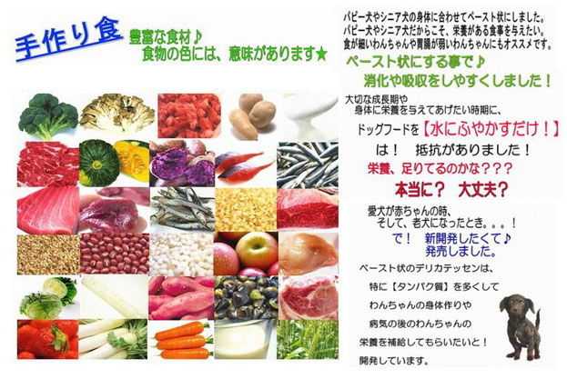 犬,ドッグフード,ウエットフード,離乳食,介護食,パピー犬,シニア犬,無添加,国産,手作り,ごはん,馬肉,鹿肉,ラム肉,サーモン,いわし,鳥,ササミ