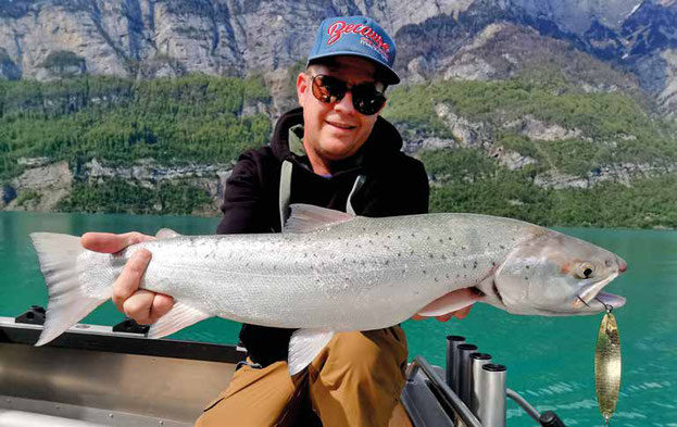 Drill Point Fishing Onlineshop - Schleppfischen-Zubehör Unterkategorie Titelbild - Angebote Schleppköder - Schlepplöffel - Schleppblinker - Perlumttspangen - Perlmutter-Löffel - Köderfischsysteme - Baitfish-Trolling-Systems