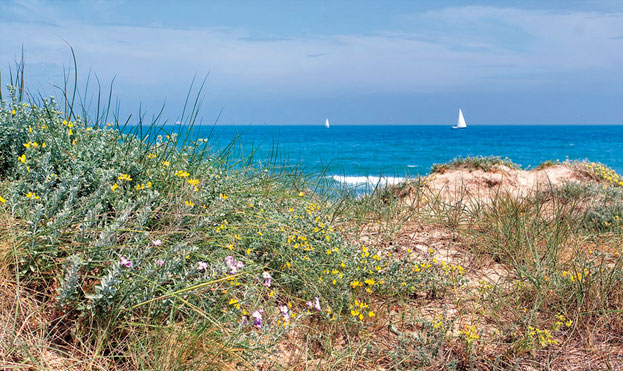 Surfen Valencia