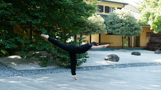 Virabhadra: Il Guerriero dell'Ira e della Rinascita. Dal Dolore Cosmico alla Forza Interiore del Guerriero Yoga