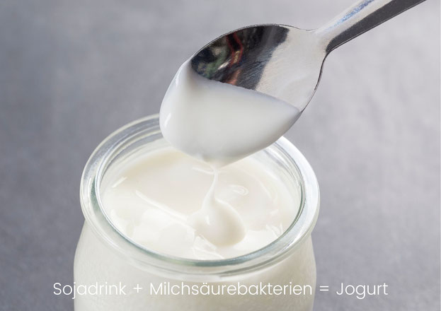 Sojajogurt Sojajoghurt Sojogurt Soyogurt soydrink sojamilch