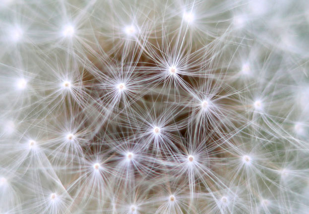 Il dott. Lavanga insiste sulla neuroplasticità e sugli esercizi per la mente