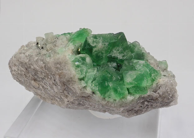 Milpo mine Fluorite