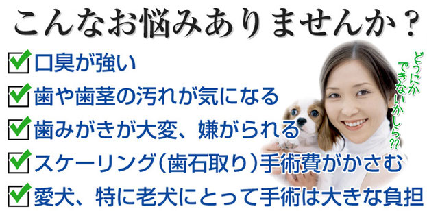 口臭・歯石予防ができる動物用飲用水生成器「アニマルウォーター 口臭・歯石予防ができる動物用飲用水生成器「アニマルウォーター