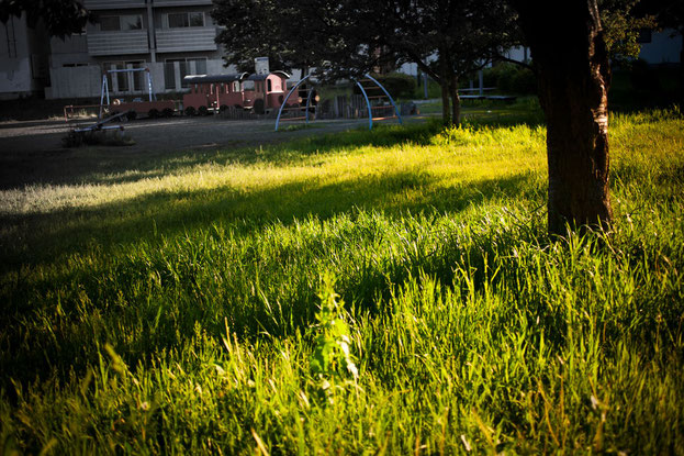 公園