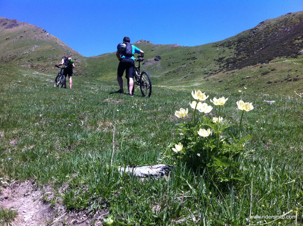 per 100 metri di dsl di pedalare non se ne parla