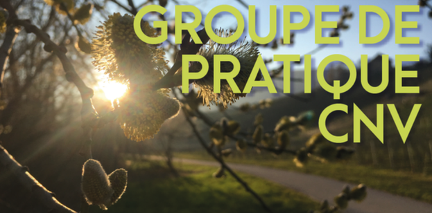 groupe de pratique CNV à Genève Meyrin