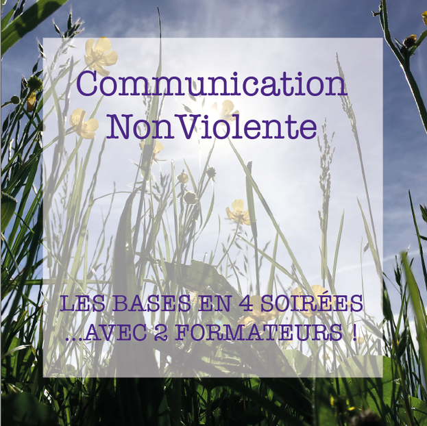 formation en communication cnv non violente