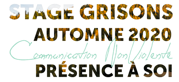 Stage CNV Communication NonViolente et Yoga Suisse