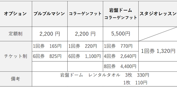 ビーライン水戸南町店,オプション料金,ブルブルマシン,コラーゲンフット,ゲルマ温浴,スタジオレッスン