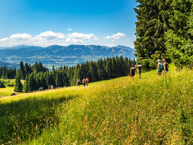 Zwei Teilnehmende des Integrationsprojekts Wanderglück wandern durch eine blühende Bergwiese im Allgäu und blicken auf die Landschaft während der Abschlusswanderung.