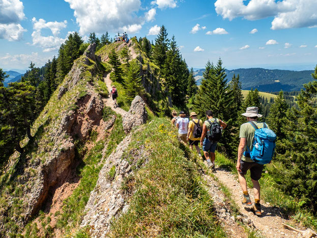 Teilnehmende des Integrationsprojekts Wanderglück wandern über den aussichtsreichen Grat der Nagelfluhkette im Allgäu auf dem charakteristischen Nagelfluhgestein.