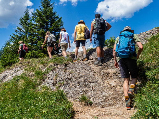 Teilnehmende des Integrationsprojekts Wanderglück wandern hintereinander über einen felsigen Wanderweg in der Nagelfluhkette im Allgäu.
