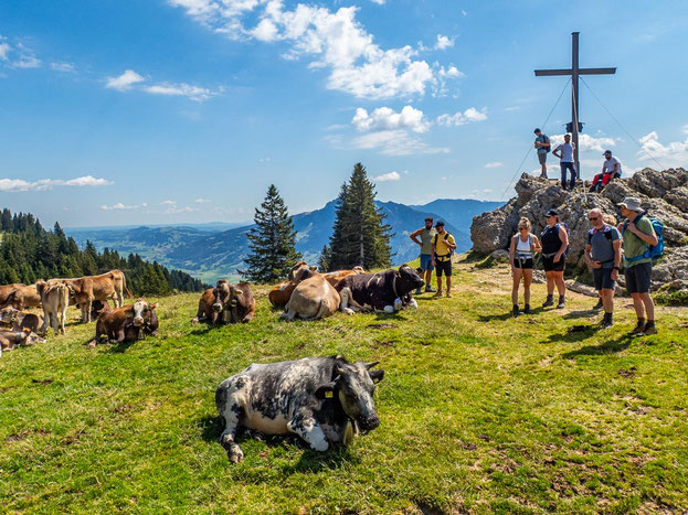 Gruppe des Integrationsprojekts Wanderglück am Gipfelkreuz des Bärenkopfs während der Wanderung über die Nagelfluhkette im Allgäu.