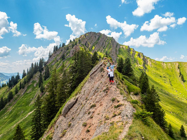 Sechs Teilnehmende des Integrationsprojekts Wanderglück wandern konzentriert über einen anspruchsvollen Bergweg in Richtung Stuiben in der Nagelfluhkette im Allgäu.