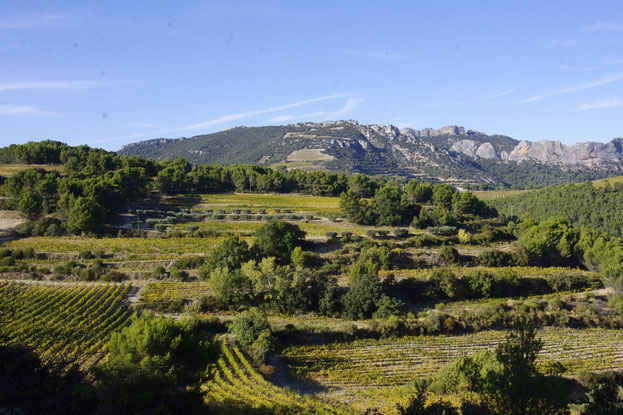 Beaumes-de-Venise